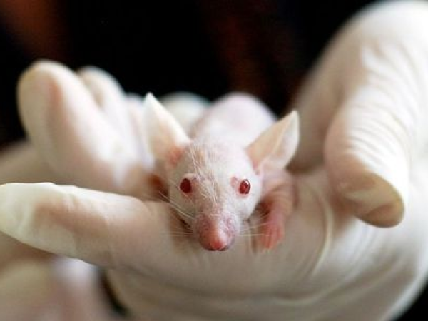 A benzodiazepin nyugtatók felfedezése. Benzodiazepin-függőség Hazánkban