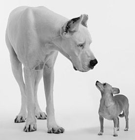 Hírlevél 4 - Nem vagy mindenható