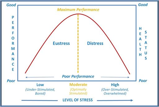 A stressz két oldala - stressz, megküzdés, megküzdési stratégiák, eustressz, Selye János, győri pszichiáter, depresszió, pánik, alvászavar, pszichológus - Dr. Kopácsi László pszichiáter Győr