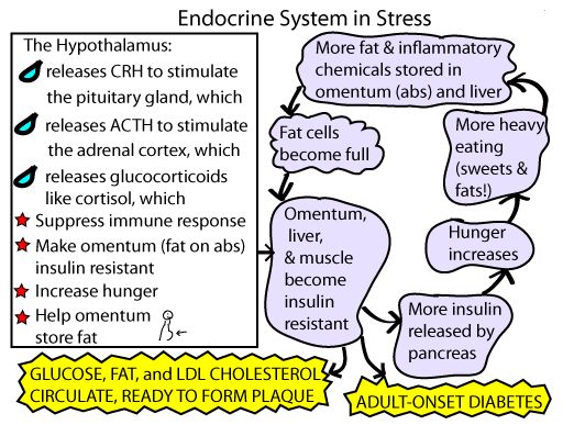 Stressz is vezethet cukorbetegséghez - Dr. Kopácsi László pszichiáter Győr - diabétesz, győri pszichiáter, depresszió, pánik, alvászavar, pszichológus